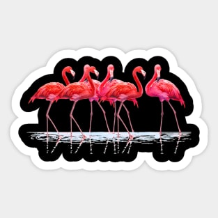 Beautiful Tropical Dancing Art Pink Flamingos Love Sticker